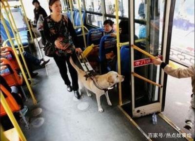 宠物可以带上公共汽车小狗可以放在包里乘公共汽车吗?