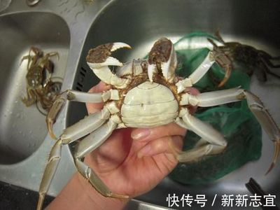 螃蟹做熟之后可以放多久