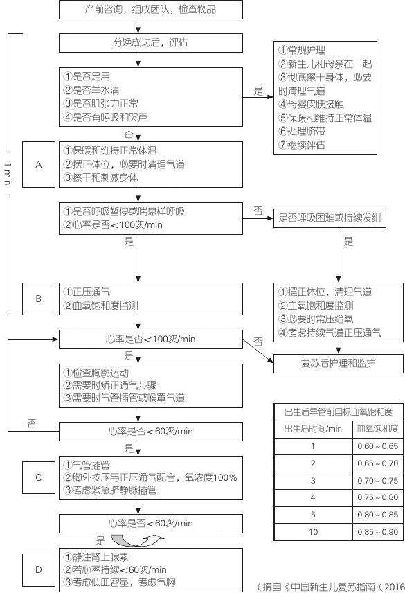新生儿复苏抢救流程