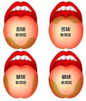 舌头发咸是怎么回事