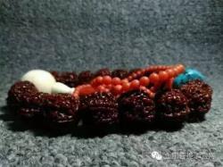 塑料星月菩提什么样子