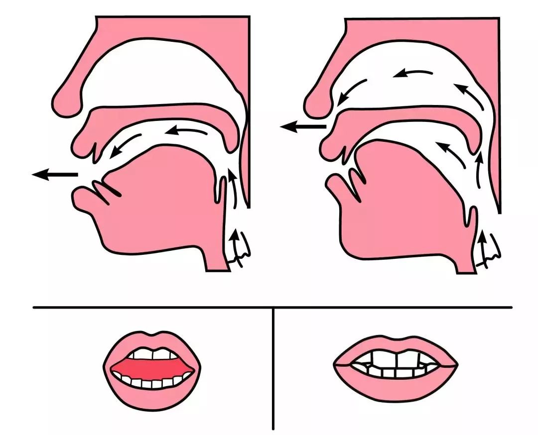 翘舌音怎么发音图解