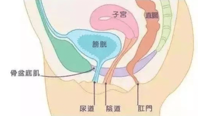 宫颈下垂怎么治疗