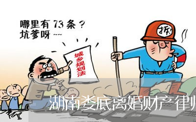 娄底离婚律师