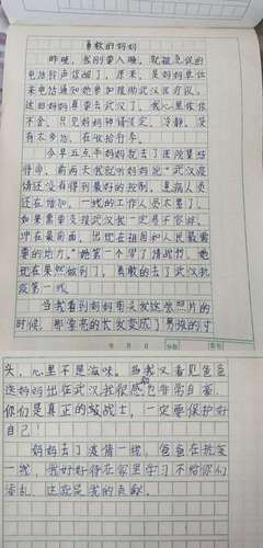 我想对姥姥说450字作文怎么写