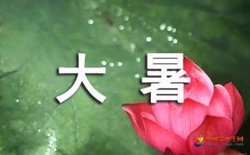 今年什么时候开始数伏