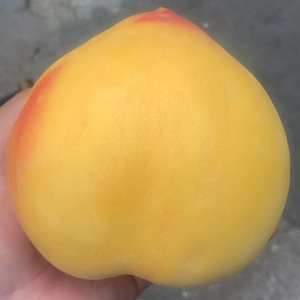 黄毛桃和黄油桃的区别