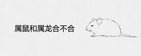 属鼠和属鼠的合不合
