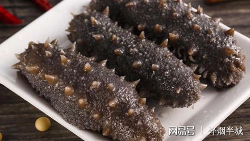 海参的食用制作方法