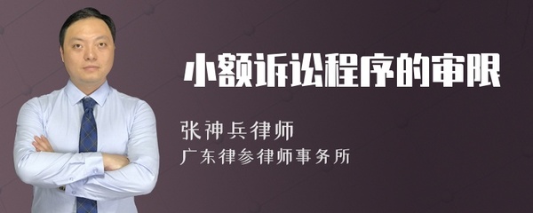 小额诉讼程序审限