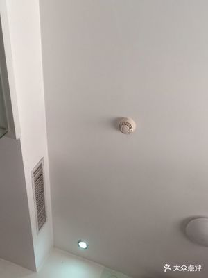新房间气味太重怎么办