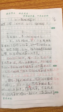 四年级放风筝日记300字作文怎么写