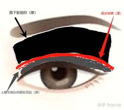 上眼皮厚的人面相