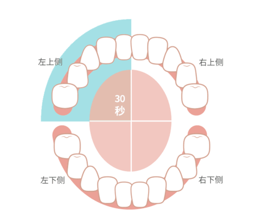 牙齿方位语