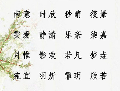 名字带美的女孩名字