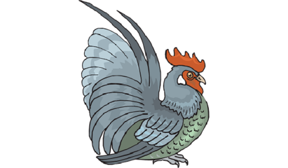 16周岁属什么生肖