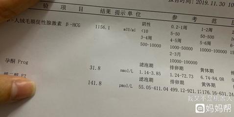 怀孕初期出血褐色少量