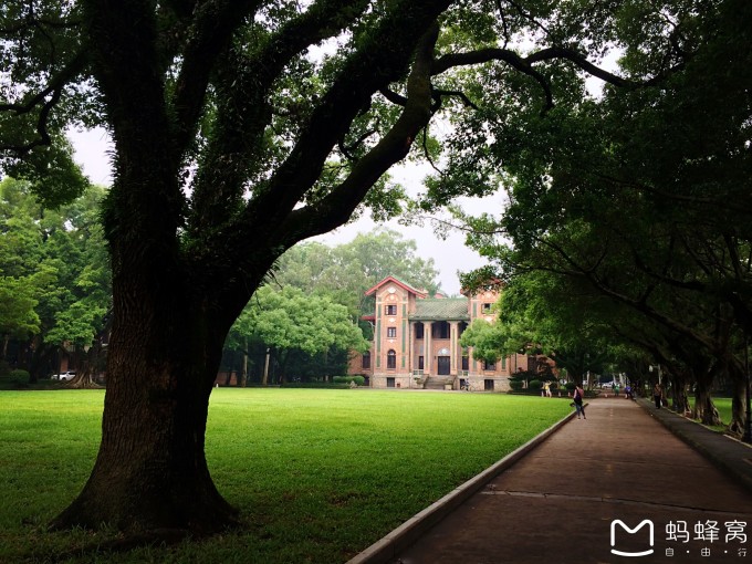 广州中山大学在哪个区