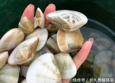 贝壳沙滩在哪里