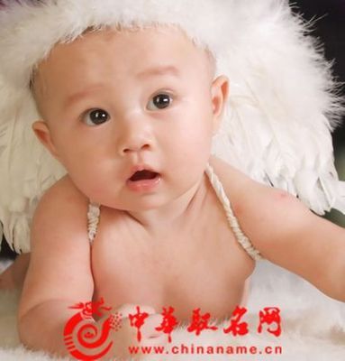 龙年宝宝起名
