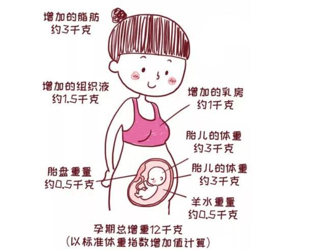 怀孕了不能要怎么办