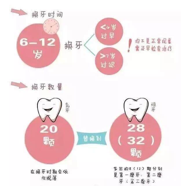 宝宝换牙图片