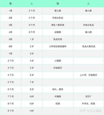 婴儿六个月体检