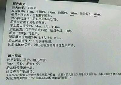 宝宝偏小吃什么补得快