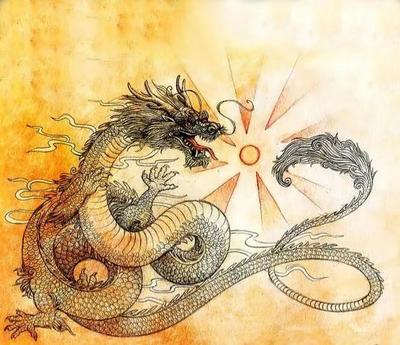 属龙人命运