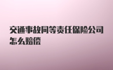 交通事故同等责任保险怎么赔