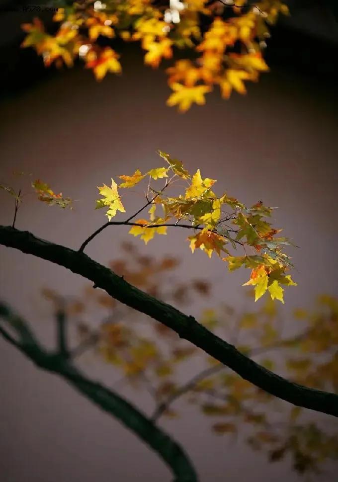 10月中旬属于什么季节