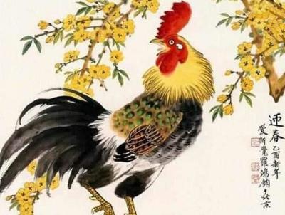 属猴的和属鸡的