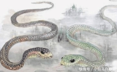 1977年属什么生肖的