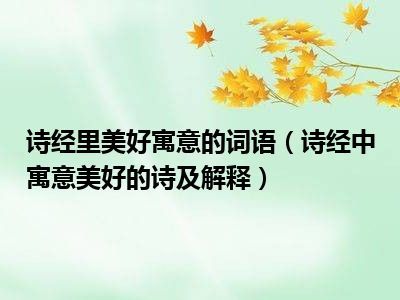 美好寓意的词