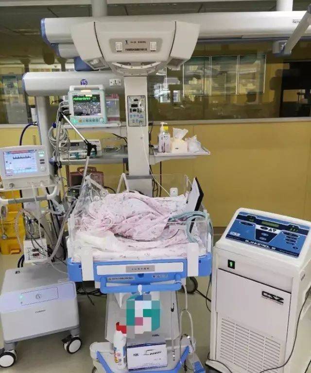 新生儿亚低温