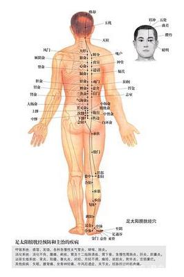 敲带脉减肥