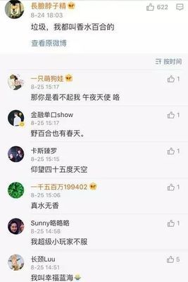 淡泊的网名