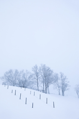 阳春白雪下一句