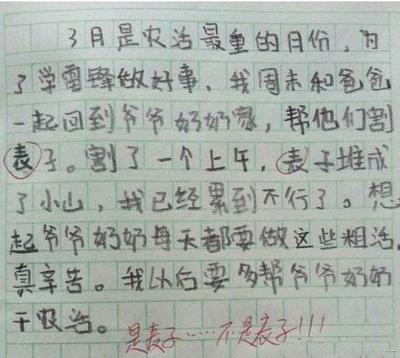 三月街作文怎么写