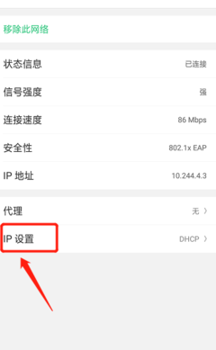 手机无线网ip地址怎么设置