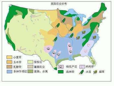 大豆和玉米谁先传入中国