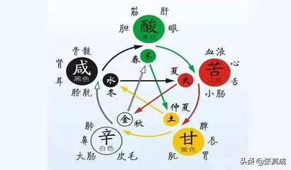 通字五行属什么