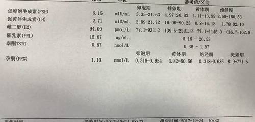 卵泡期 排卵期