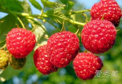 孕妇能吃树莓吗