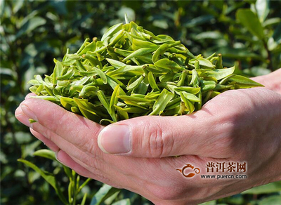 御龙井的茶叶怎么样