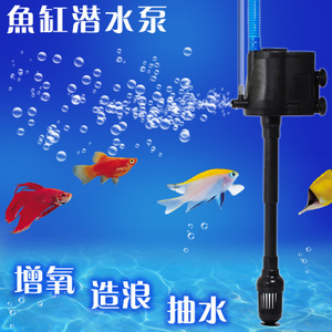 吉林水族店（吉林水族批發(fā)市場） 觀賞魚水族批發(fā)市場