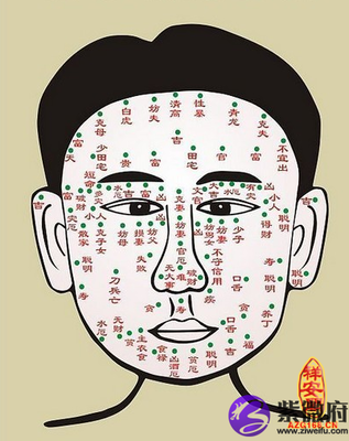 腿痣的位置与命运图解