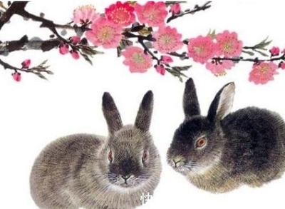 属兔今年桃花运如何