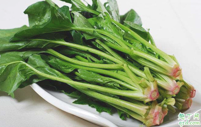 怀孕不能吃菠菜吗