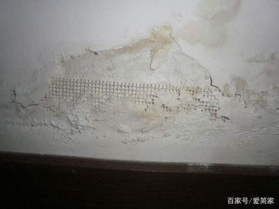 墙面泛碱的原因
